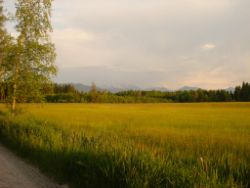 2013-06-08_Radtour_Iffeldorf-Aiderbichl (221).JPG